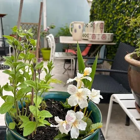 Apartment De Charme Avec Terrasse