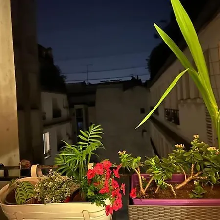 De Charme Avec Terrasse * Paris