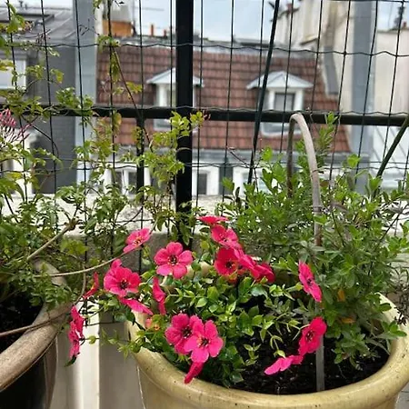 De Charme Avec Terrasse *